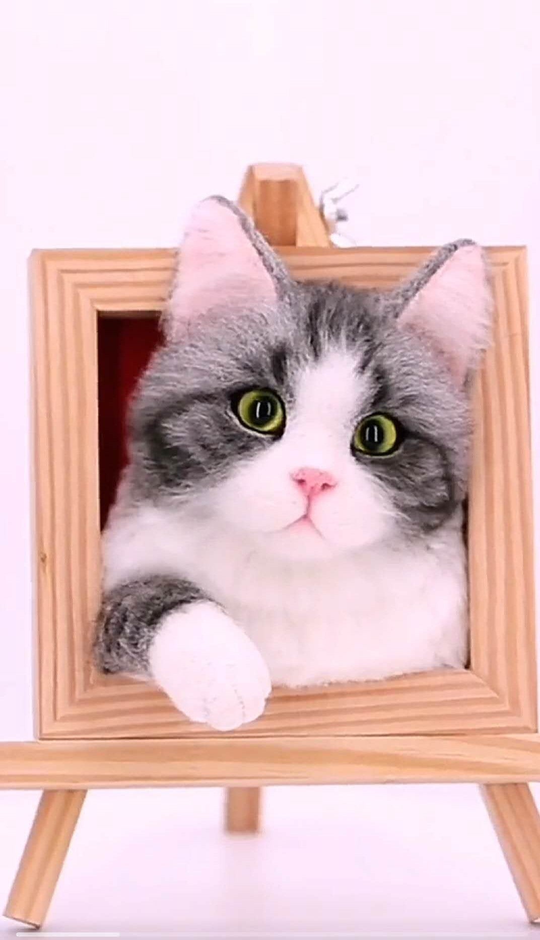 Photo Frame（12*12cm）-cat